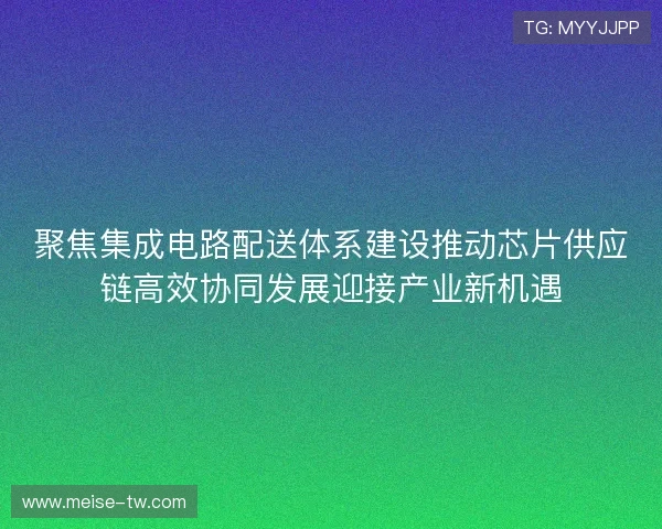 聚焦集成电路配送体系建设推动芯片供应链高效协同发展迎接产业新机遇