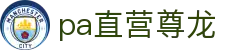 PA直营|中国官网